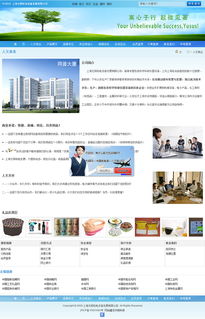 上海天照科技網站建設案例解析 尤釋網網頁制作與網絡工程技術咨詢服務