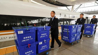 中國網新聞中心 堅守中國價值，速遞時代強音